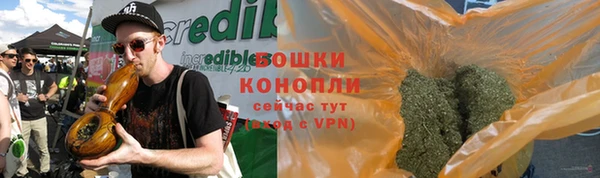 гашик Аркадак