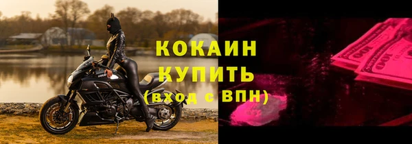 МДПВ Бородино