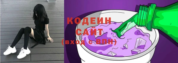 МДПВ Бородино