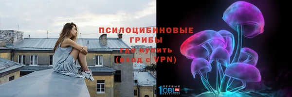 дмт Армянск