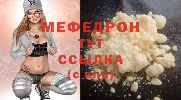 МДПВ Бородино
